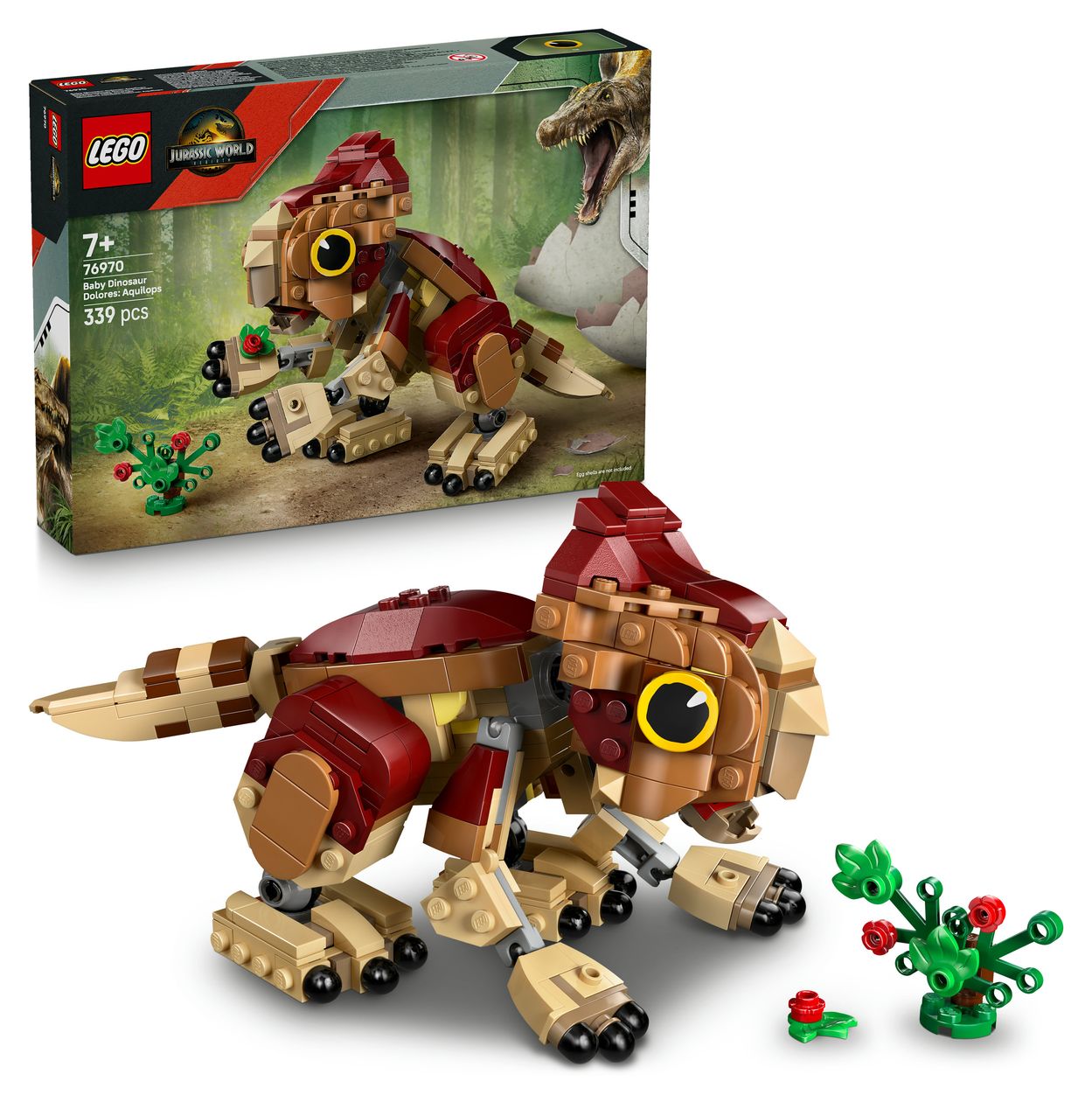 Babydinosaurier Dolores: Aquilops 