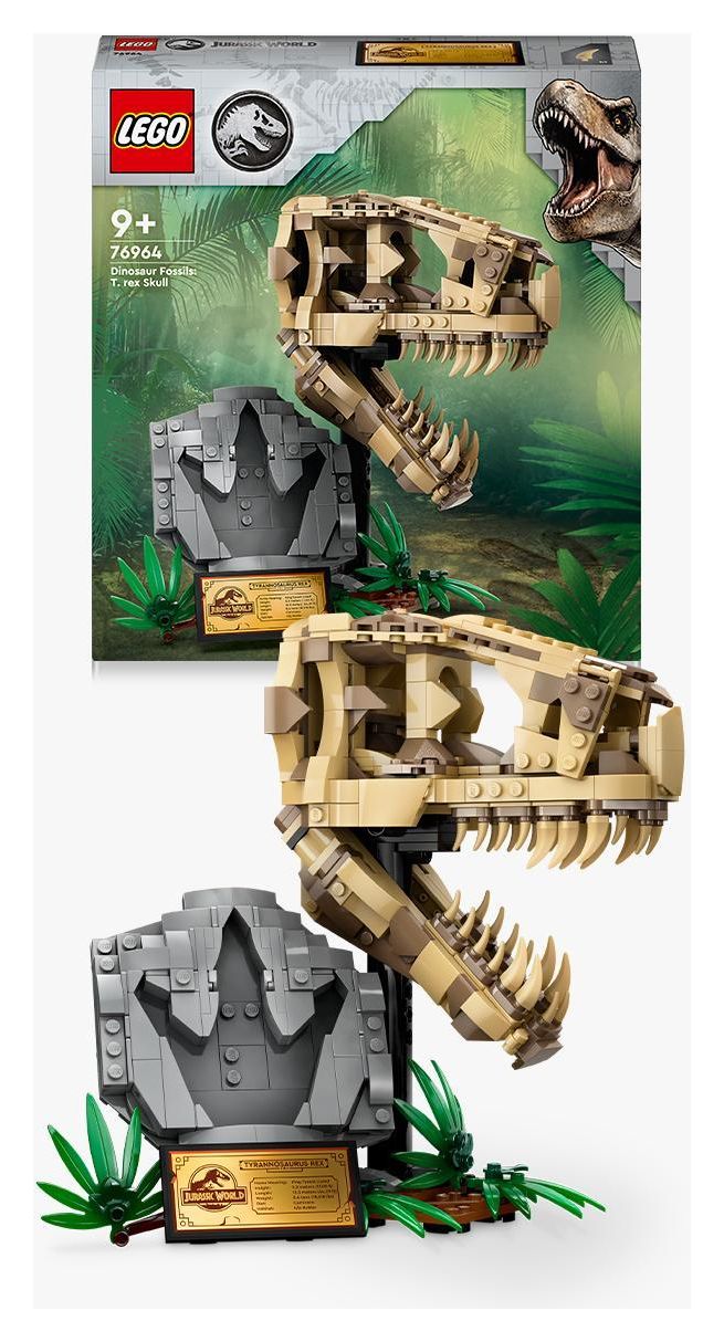 Dinosaurier-Fossilien: T.-rex-Kopf 