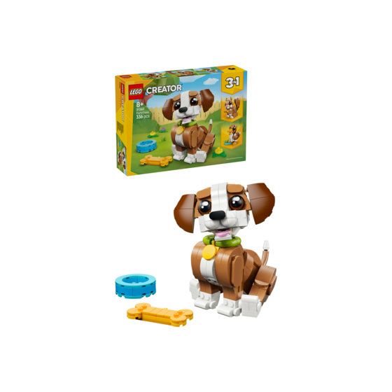 Niedliche Tiere: Verspielter Welpe 