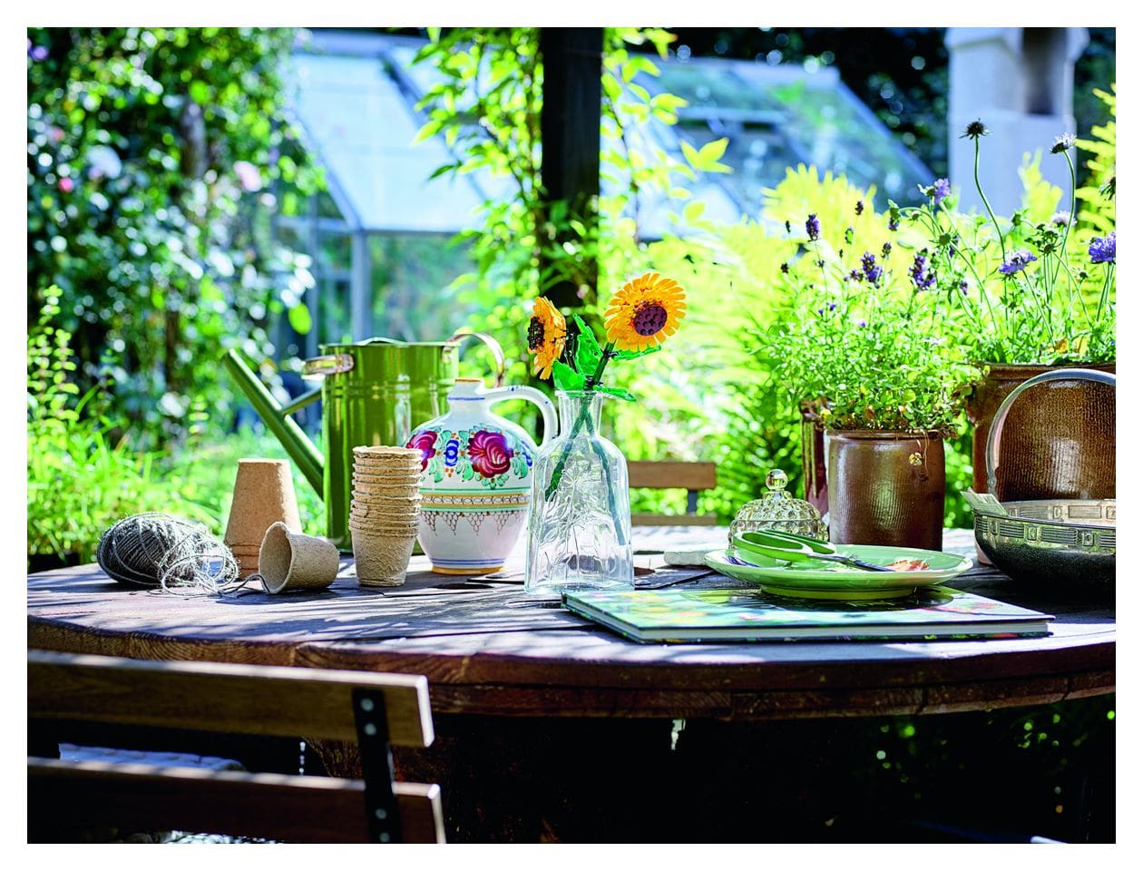 Sonnenblumen 