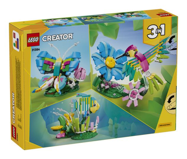 Wilde Tiere: Bunter Kolibri 