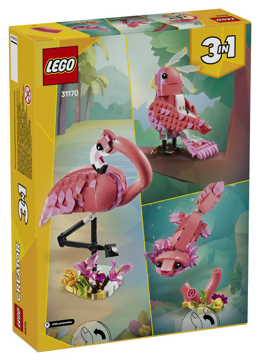 Wilde Tiere: Rosa Flamingo 