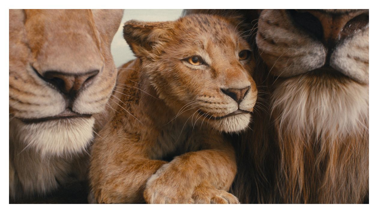 Mufasa: Der König der Löwen (DVD) 
