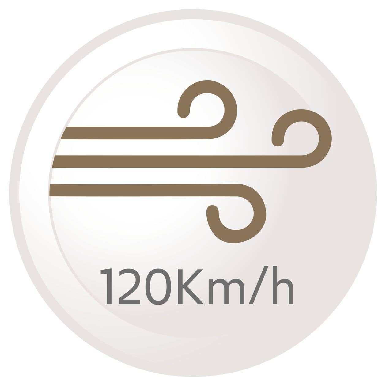 D6077 One Dry & Style Haartrockner 2000 W  (Bronze, Grau) 