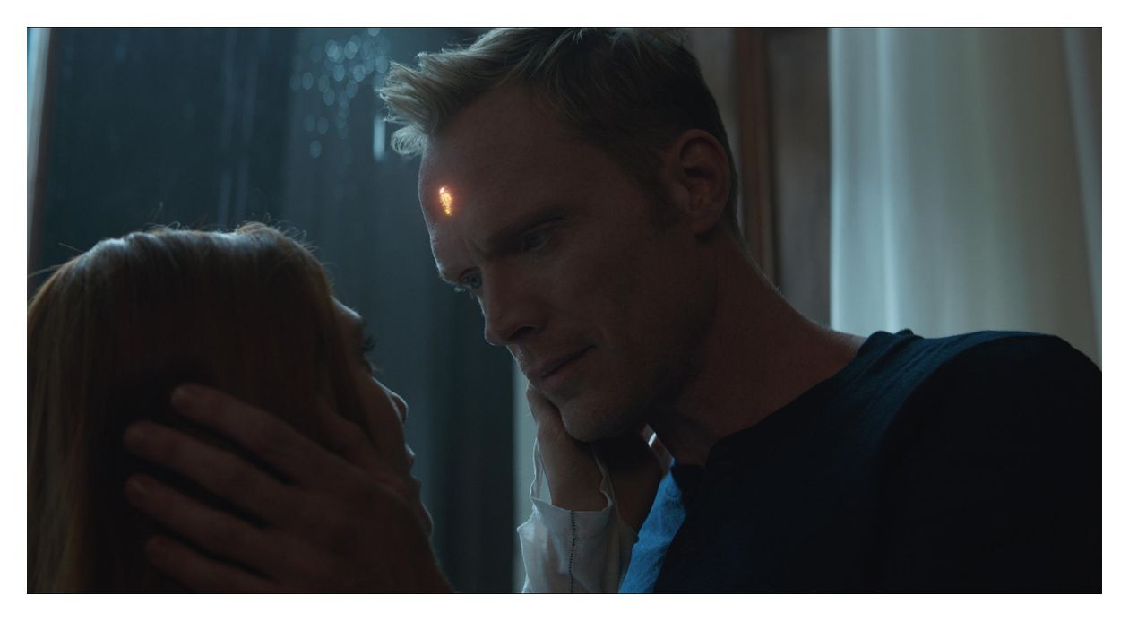 The Avengers 4-Movie Collection (DVD) 