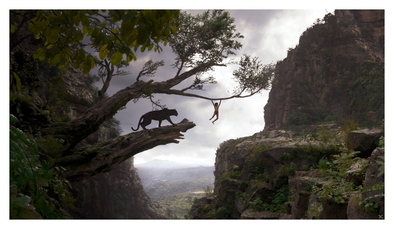 The Jungle Book (DVD) 
