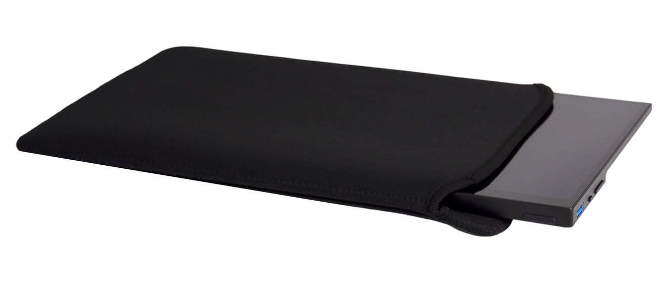 PMT-17 Full HD Monitor 43,9 cm (17.3 Zoll) 16:9 6 ms 300 cd/m²  (Schwarz) 