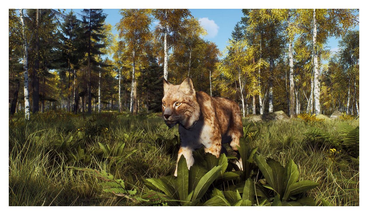 Way of the Hunter - Wild Expeditions (PlayStation 5) 