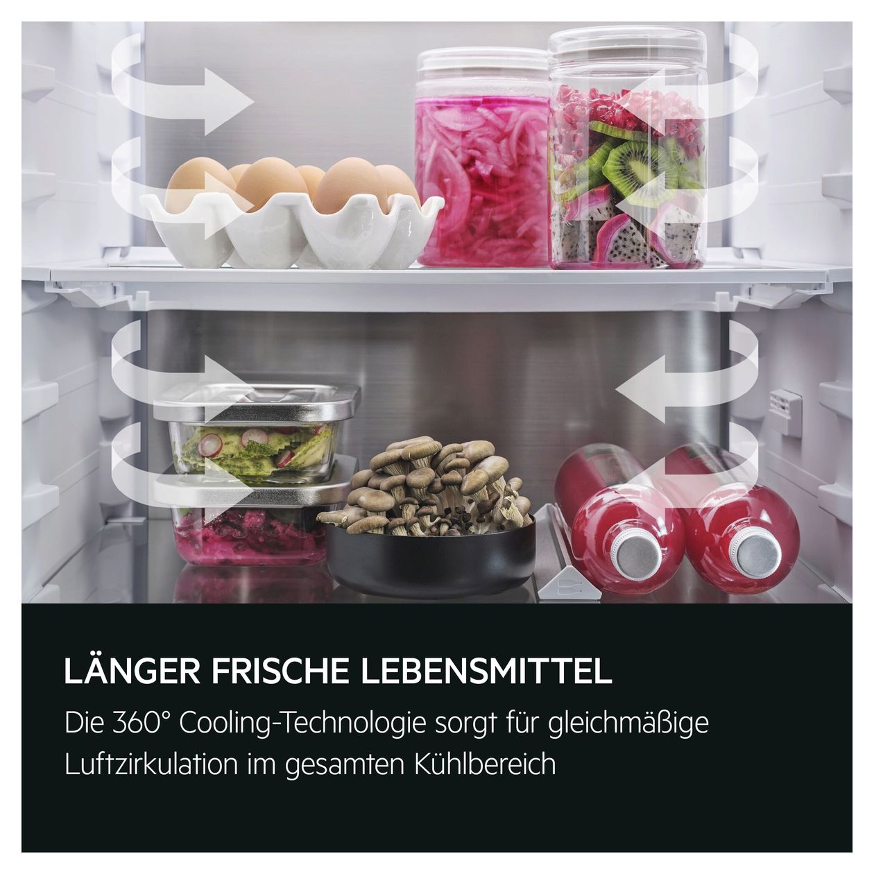Serie 9000 TC9VS181BC 182 l / 62 l 178 cm Einbau Kühl-/Gefrierkombination 125 kWh NoFrost 