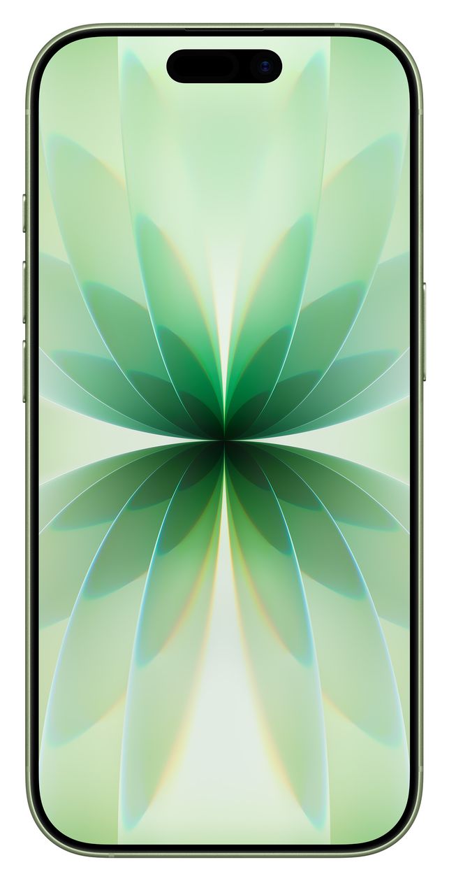 iPhone 17 256 GB 5G Smartphone 16 cm (6.3 Zoll) IOS 48 MP Dual Kamera Dual Sim WiFi 7  (Salbei) 