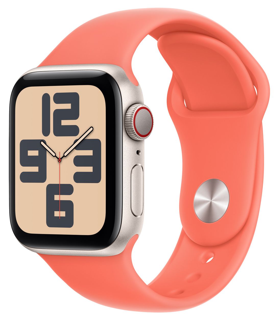 MDRR4ZM/A Armband S/M Apple Watch Models 38mm, 40mm, 41mm  (Orange) 