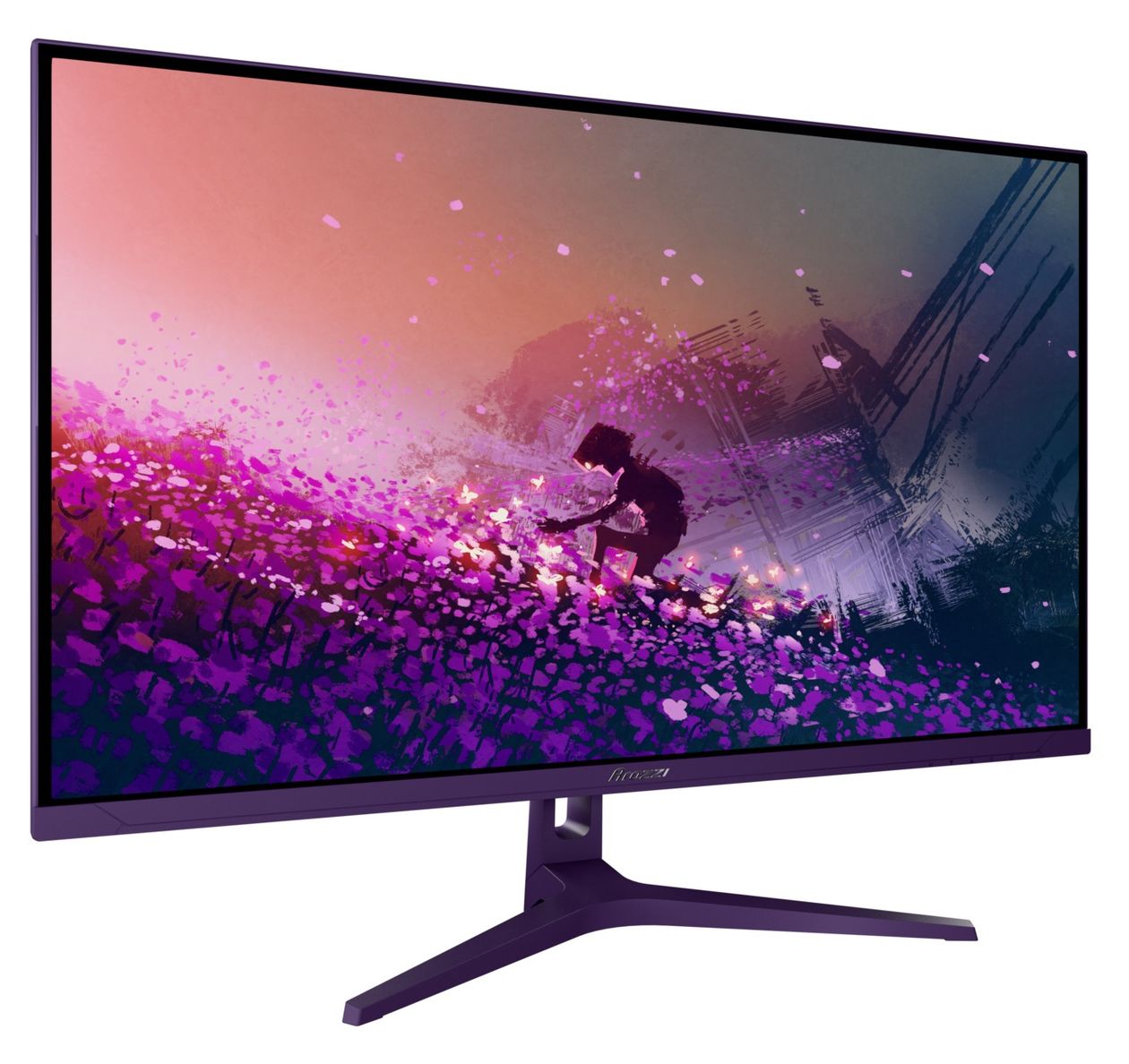Nova Quad HD Monitor 80 cm (31.5 Zoll) 16:9 1 ms 300 cd/m²  (Violett) 