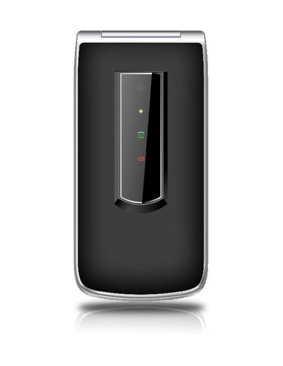 SL495 2G Smartphone 6,1 cm (2.4 Zoll Single SIM  (Schwarz, Silber) 