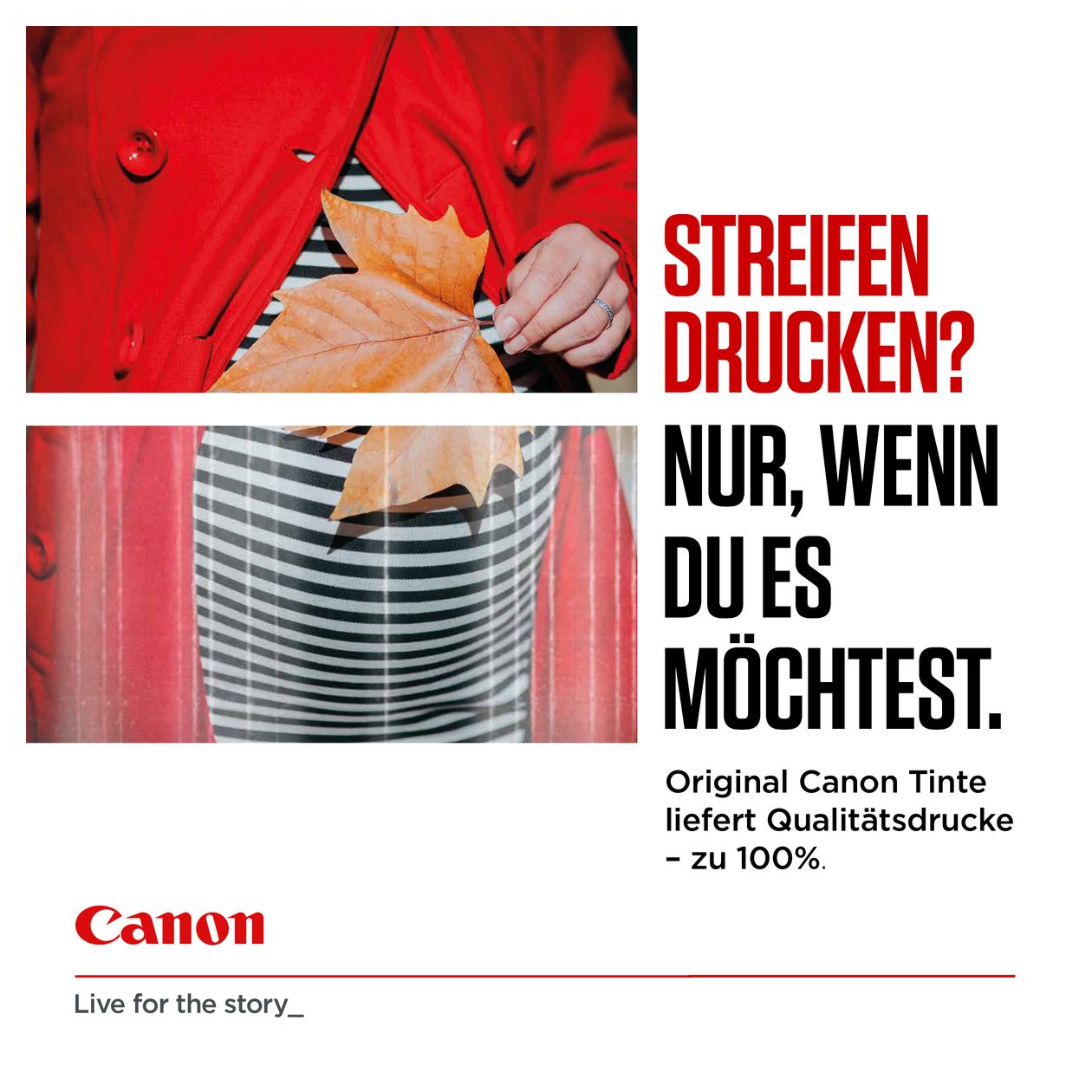 CLI-551XLC originale Druckerpatronen Foto zyan 