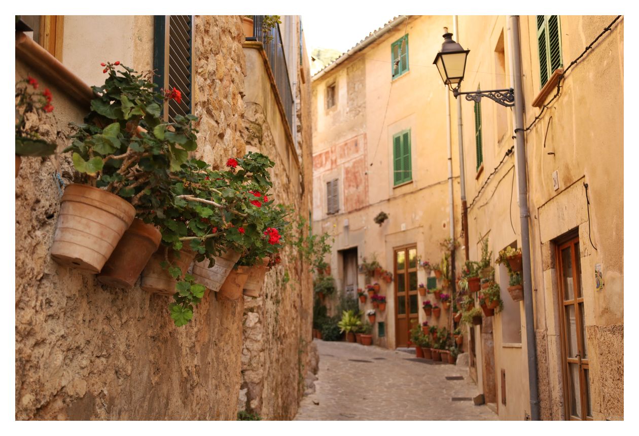 RF 24-105mm F4-7.1 IS STM Objektiv 