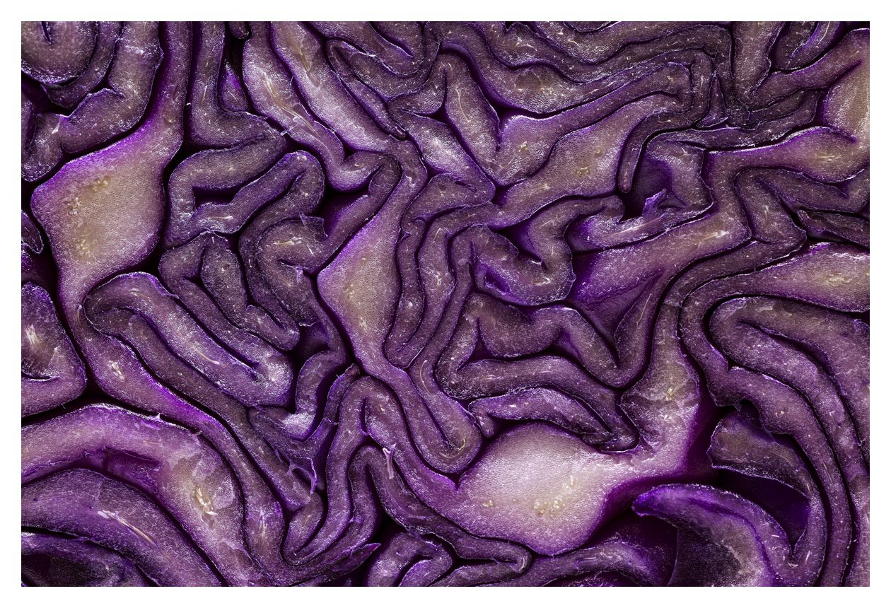 RF 85mm F2 Macro IS STM Objektiv 