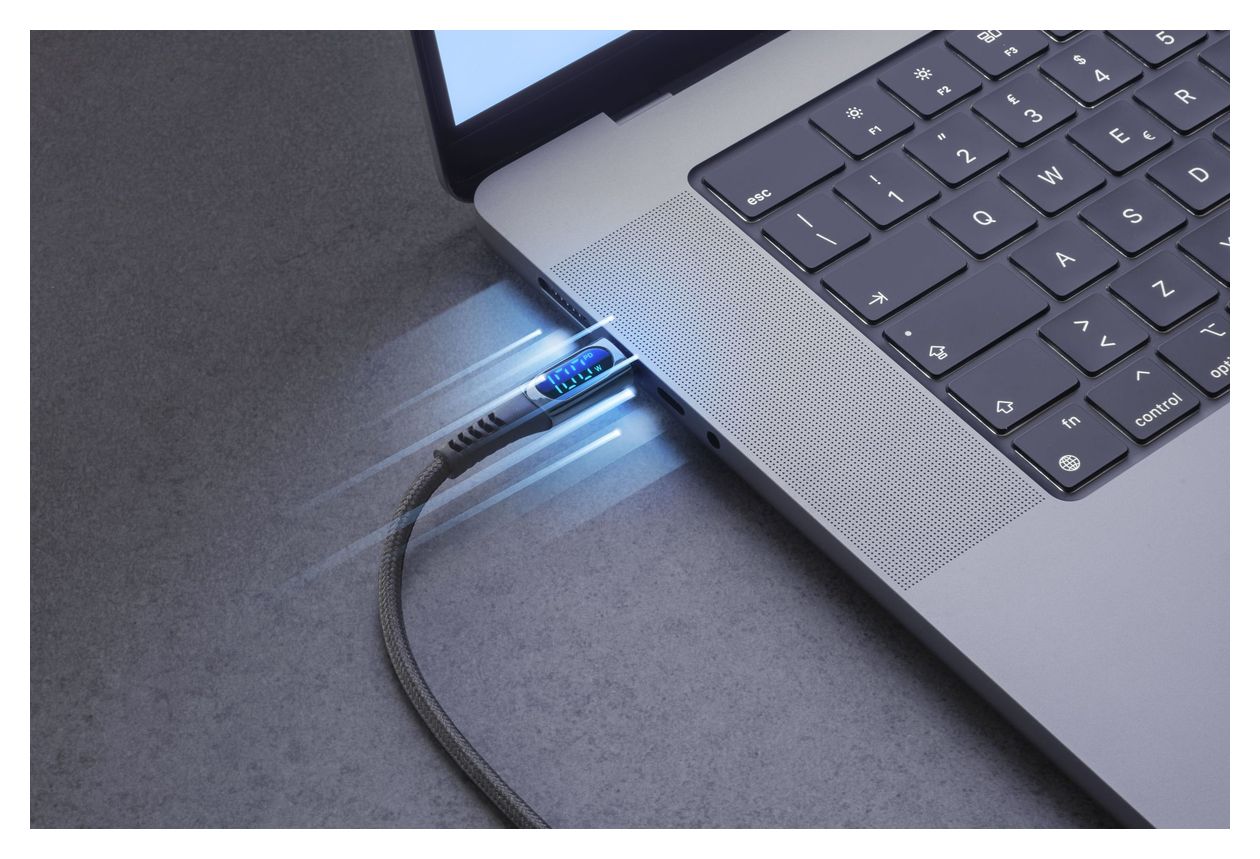 Display Cable Stecker USB C auf USB C bis 100 W 2 m  (Schwarz) 