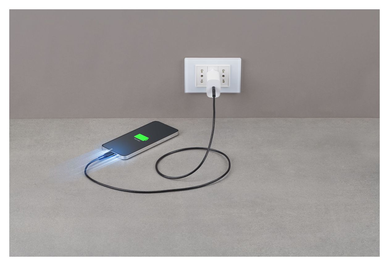 Power Cable USB C auf USB C Männlich bis 100 W 1,2 m  (Schwarz) 