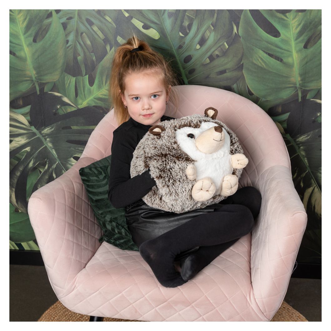 Hedgehog 