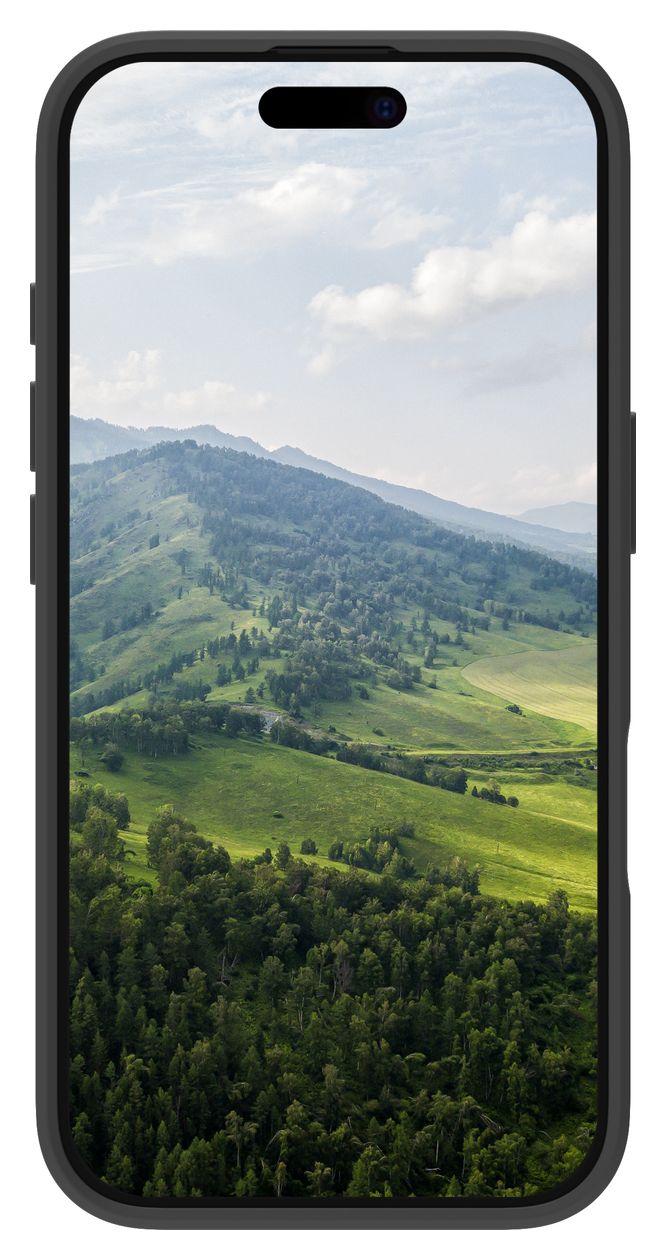 Greenland Cover für Apple iPhone 16  (Schwarz) 