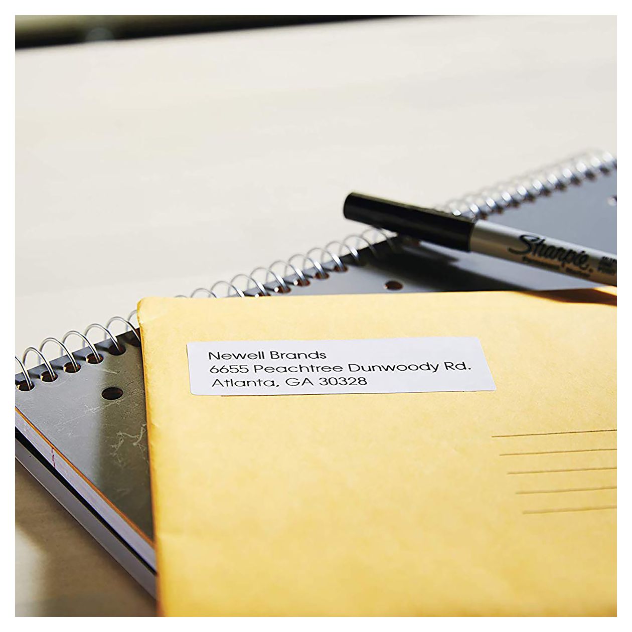 DYMO Original LabelWriter Rücksendeadressetiketten | 25mm x 54mm | 12 Rollen mit je 500 leicht ablösbaren Etiketten (6.000 Stück) | selbstklebend | Beschriftungsgerät für LabelWriter Etikettendrucker 