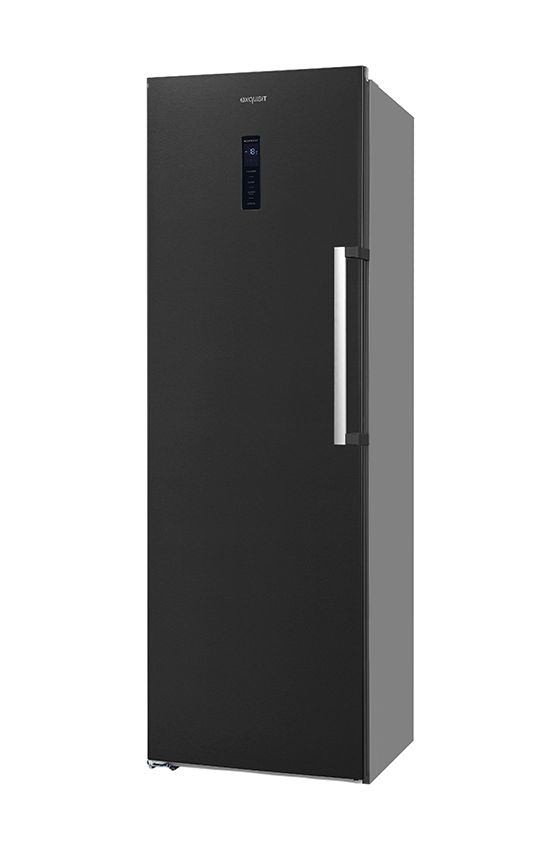 GS295-NF-H-040D 274 l Gefrierschrank 197 kWh Jahr NoFrost  (Schwarz) 