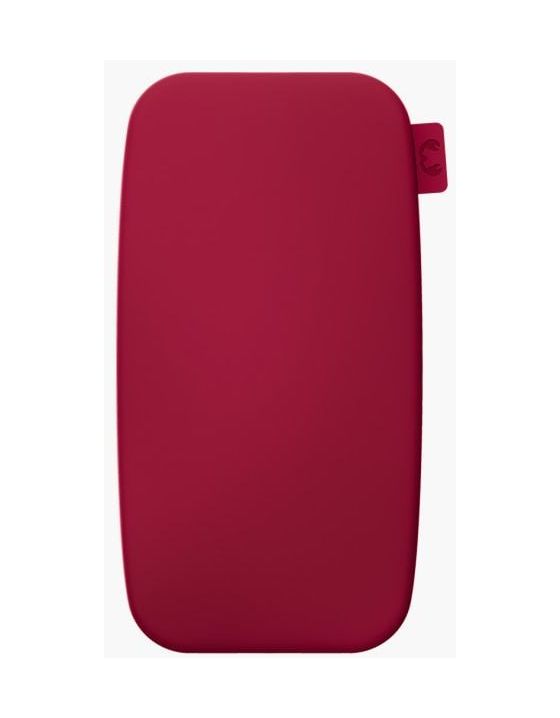 2PB18100 18000 mAh Powerbank USB Typ-C  (Berry Red) 