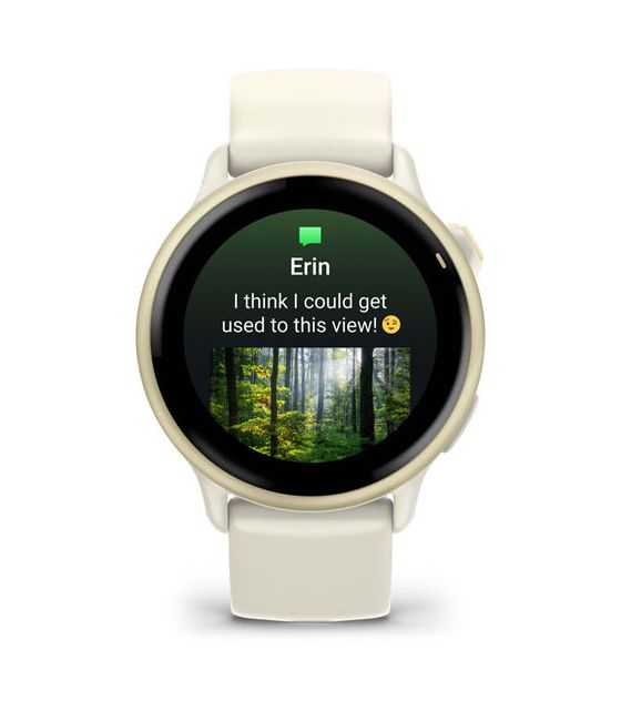 Vivoactive 6 42 mm  Smartwatch Rund 264 h  (Weiß) 