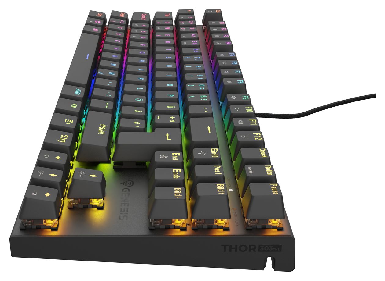 Thor 303 TKL RGB-LED Gaming Tastatur USB  (Schwarz) 