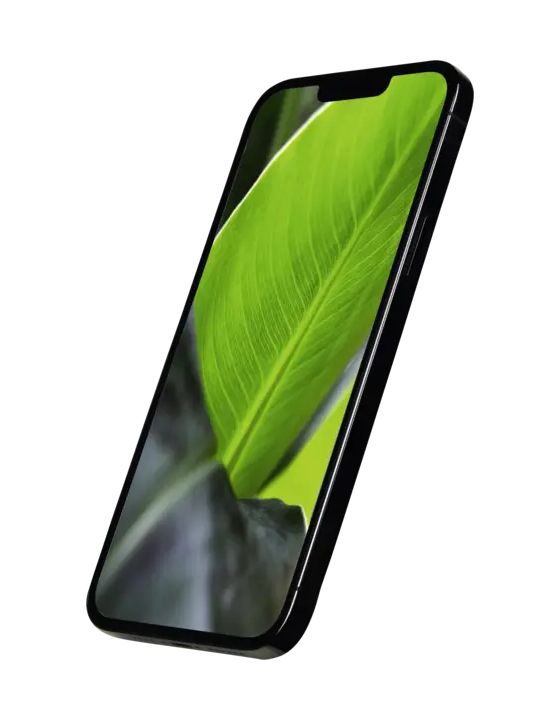 Apple iPhone 13 Pro Max refurbished 128 GB 5G Smartphone 17 cm (6.7 Zoll) IOS 12 MP Dreifach Kamera Dual Sim WiFi 6  (Graphit) 