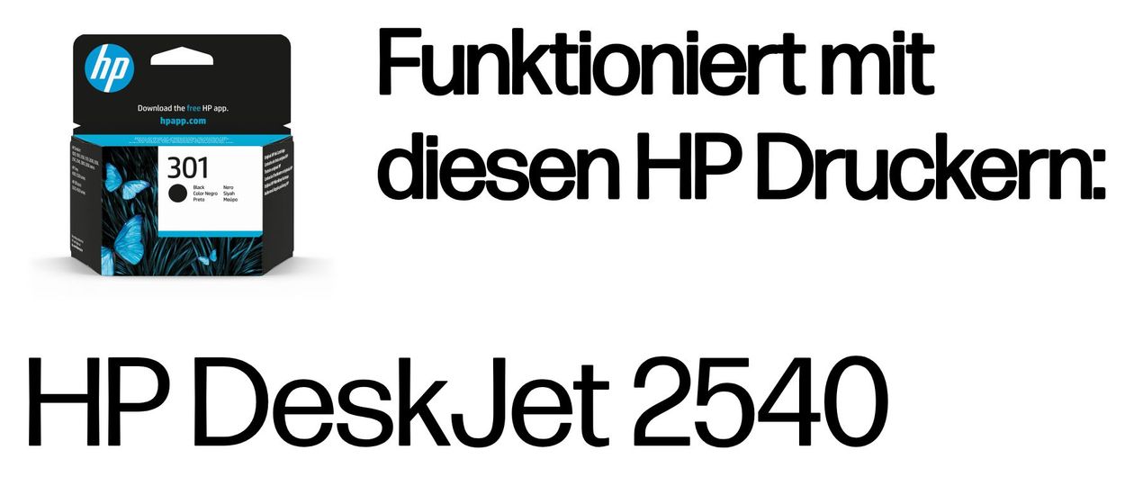 Nr.301 originale Druckerpatrone Schwarz 3 ml 170 Seiten 