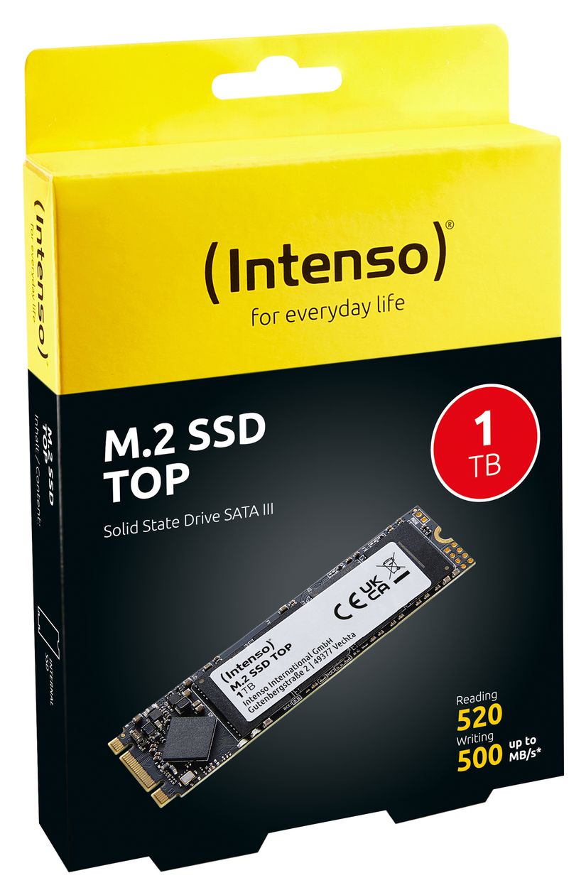 Top 1 TB SSD Serial ATA III M.2 