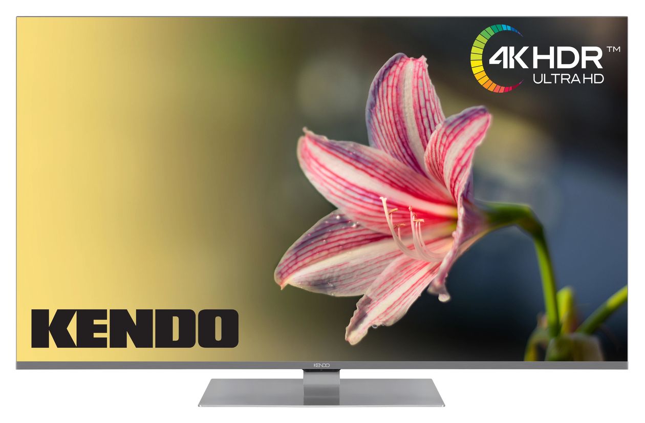 65QLED9231TS QLED 165,1 cm (65 Zoll) Fernseher 4K Ultra HD VESA 400 x 200 mm  (Grau) 