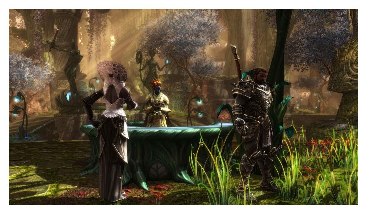 Kingdoms of Amalur Re-Reckoning (Nintendo Switch) 