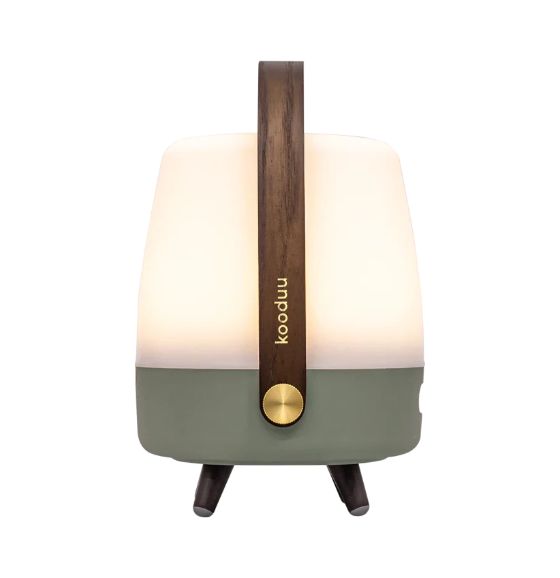 Lite-up Play Mini 8 W Bluetooth Lautsprecher Laufzeit bis 11 h  (Grün, Weiß, Holz) 