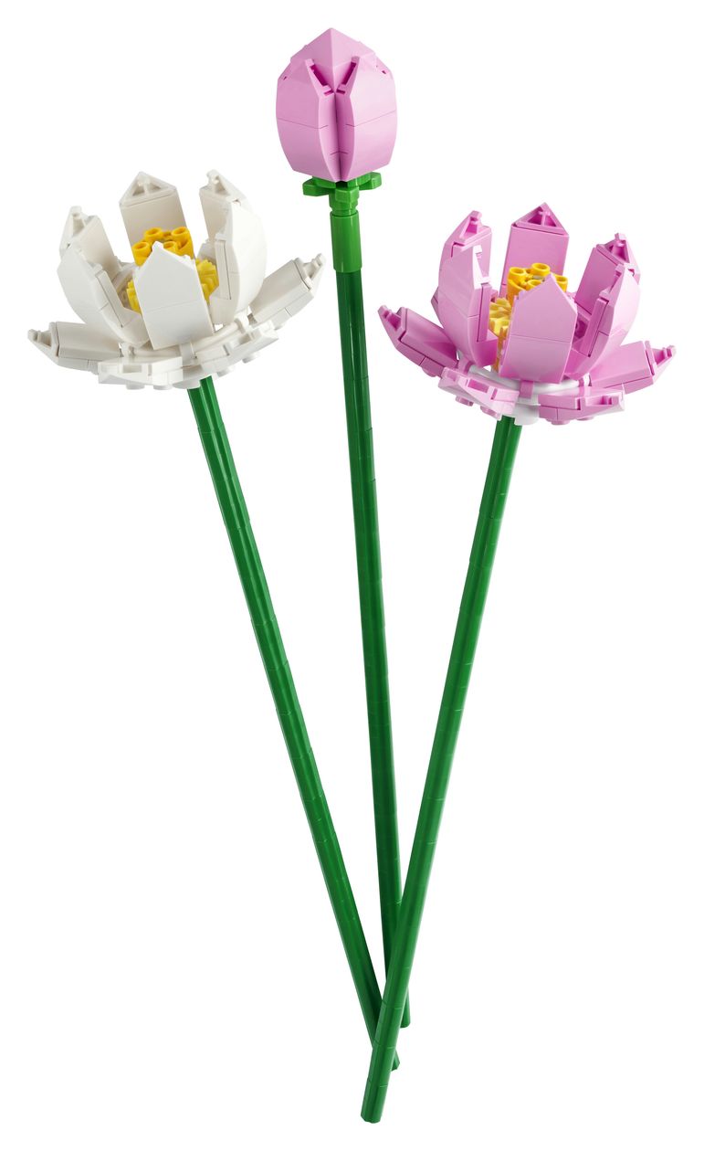 Lotusblumen Bauset 220 Teile  (Mehrfarbig) 