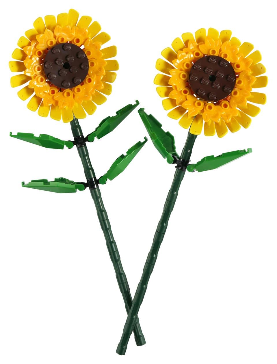 Sonnenblumen 