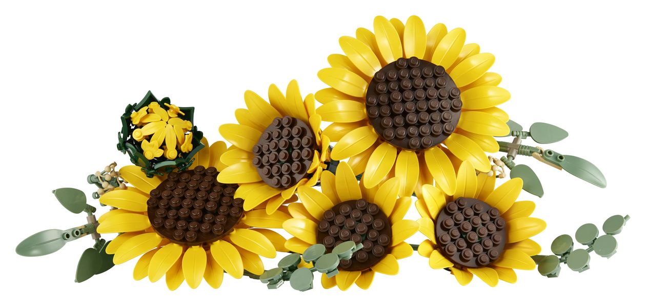 Sonnenblumen 
