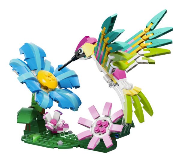 Wilde Tiere: Bunter Kolibri 