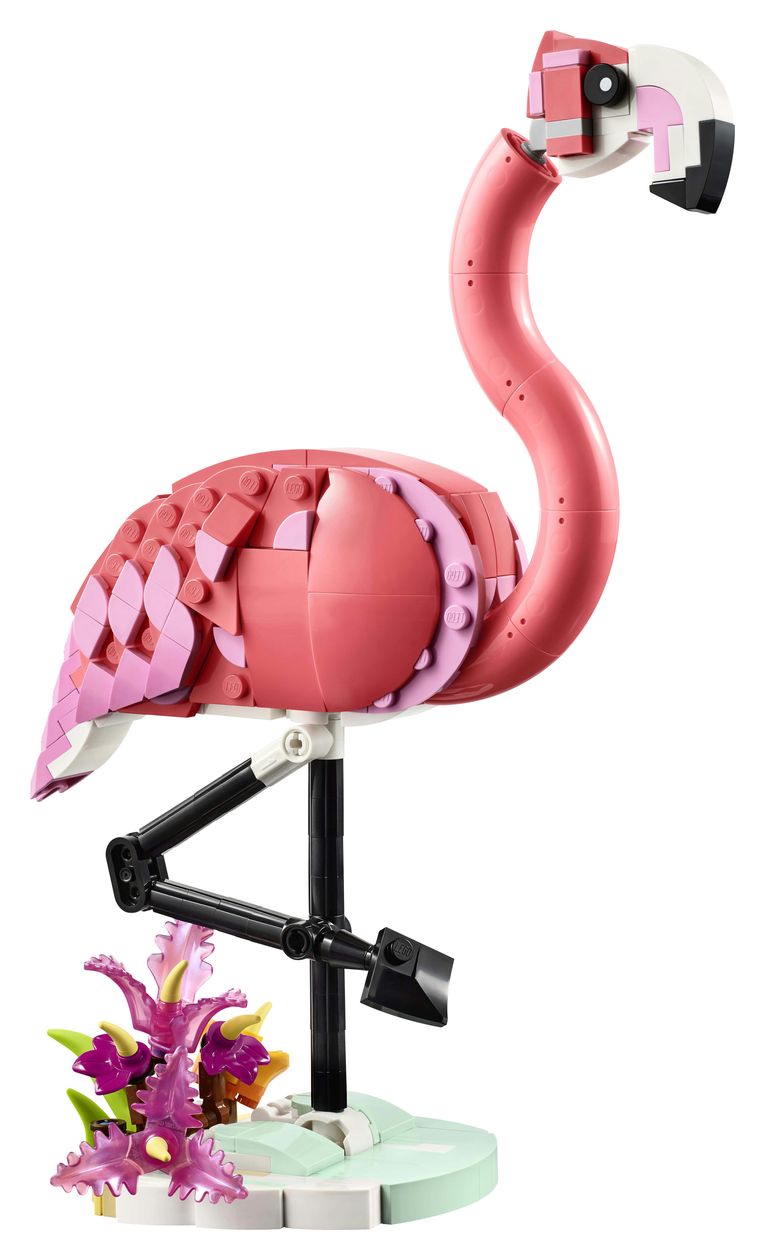 Wilde Tiere: Rosa Flamingo 