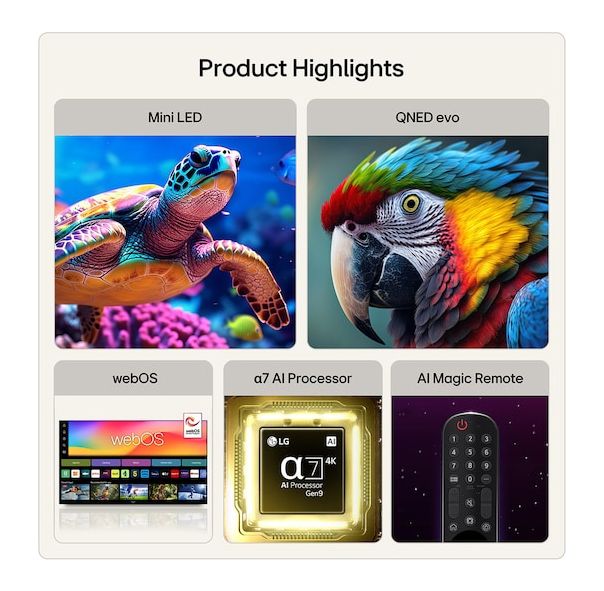 43QNED87B6A QNED 109,2 cm (43 Zoll) Fernseher 4K Ultra HD VESA 200 x 200 mm 