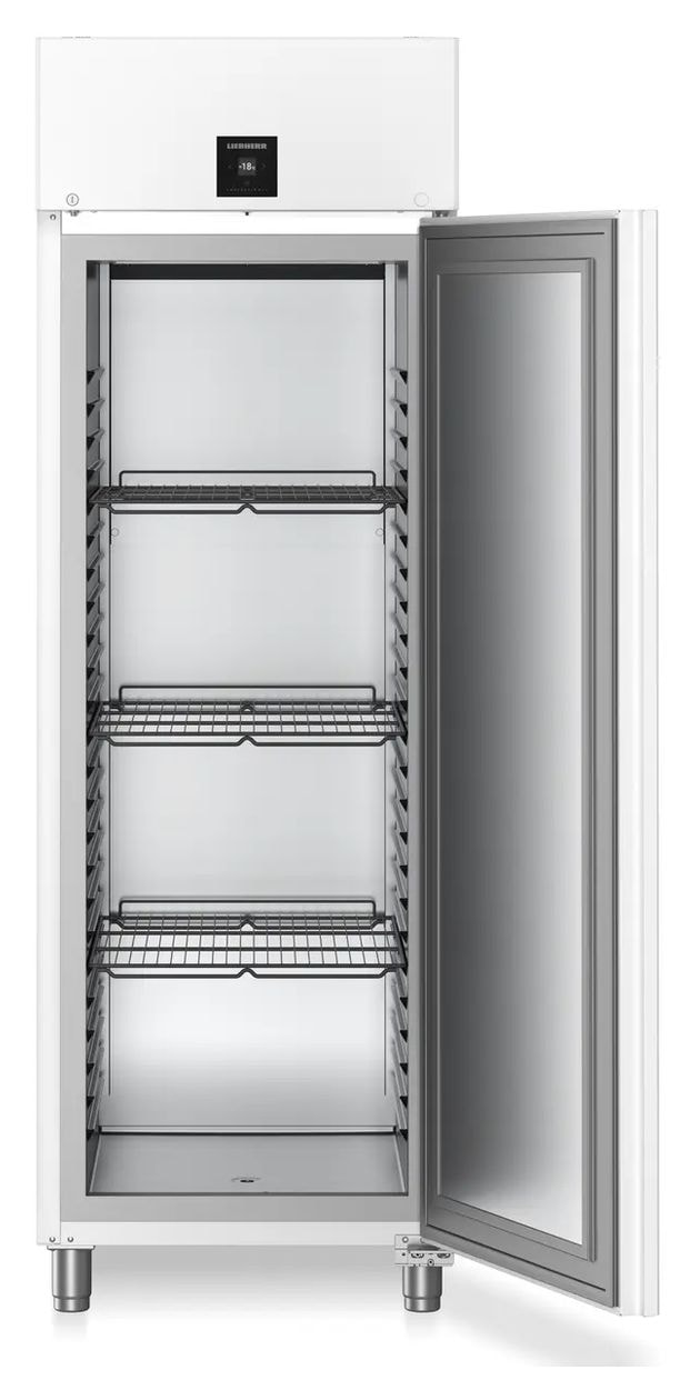 FFPvg6501 Performance 486 l Gefrierschrank 1180 kWh Jahr  (Weiß) 