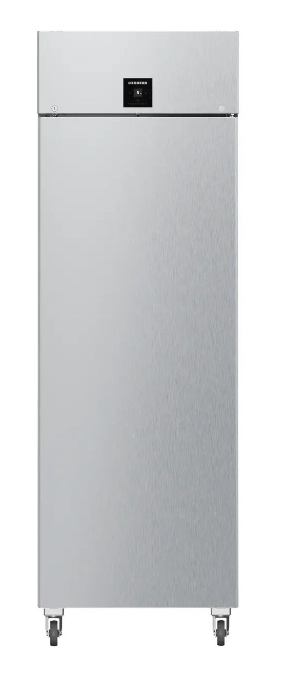 FRPSvg6501 Performance Gefrierschrank 302 kWh Jahr  (Edelstahl) 