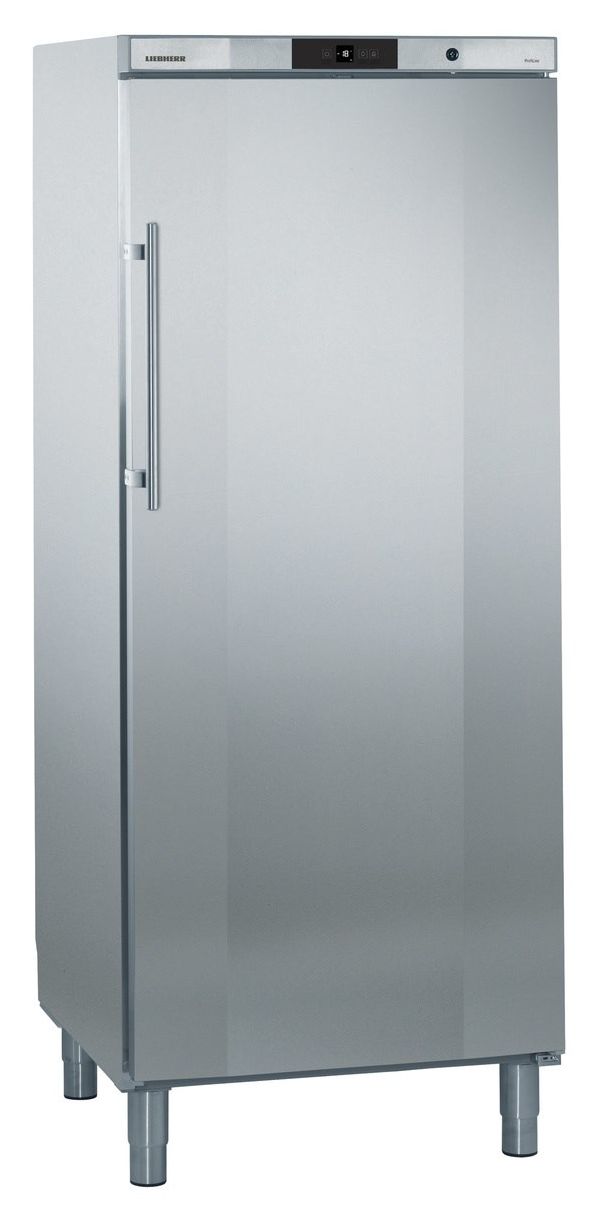 GGv5060-42 325 l Gefrierschrank 1245 kWh Jahr  (Edelstahl) 