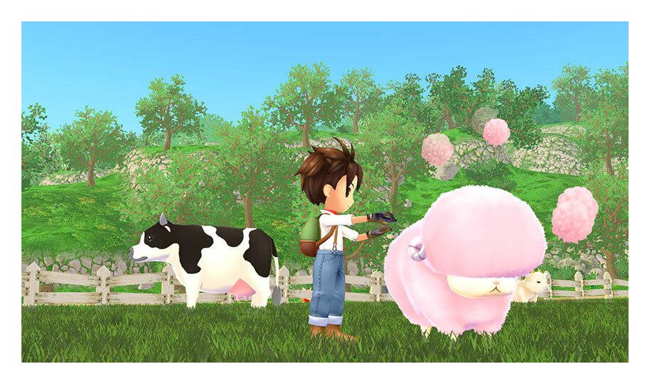 Story of Seasons: A Wonderful Life (Nintendo Switch) 