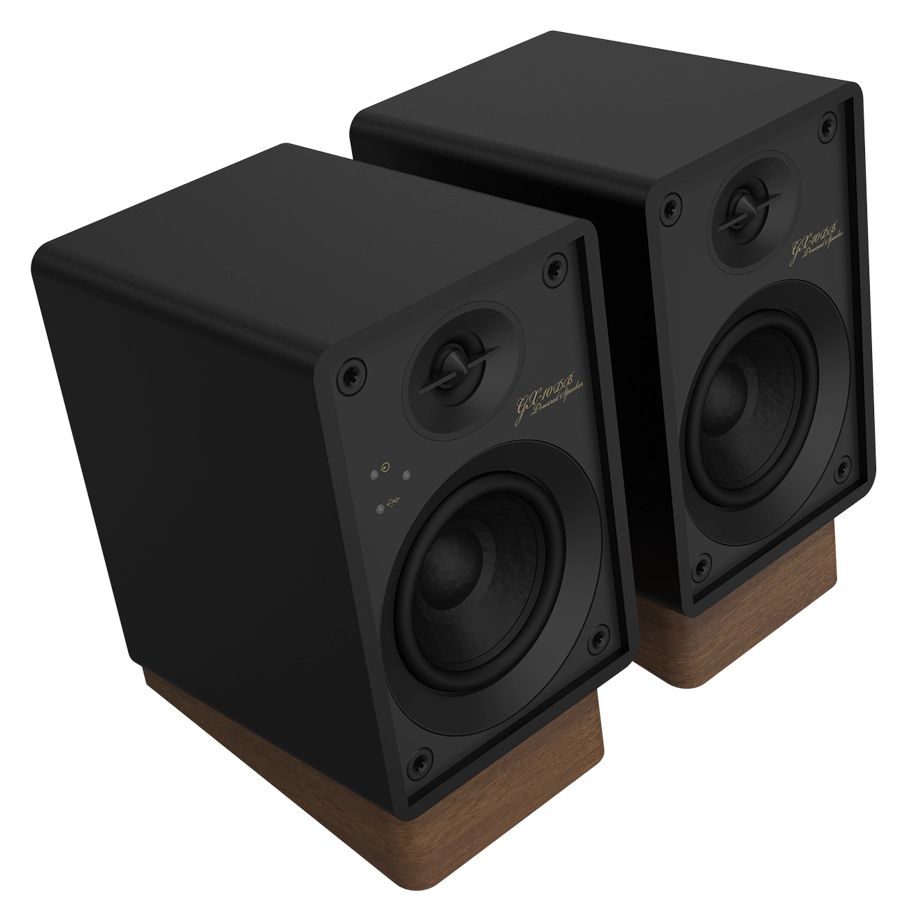 GX-10DB 30 W Bluetooth Lautsprecher  (Schwarz) 