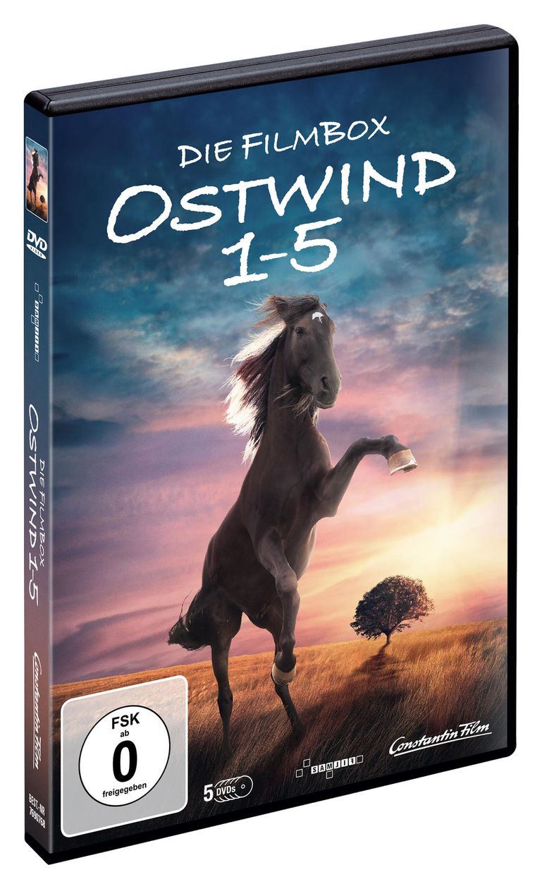 Ostwind 1-5 (DVD) 