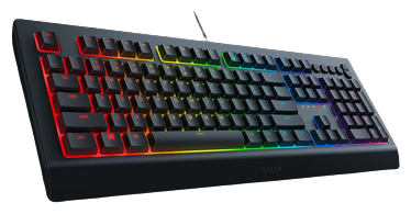 Cynosa V2 RGB-LED Gaming Tastatur 