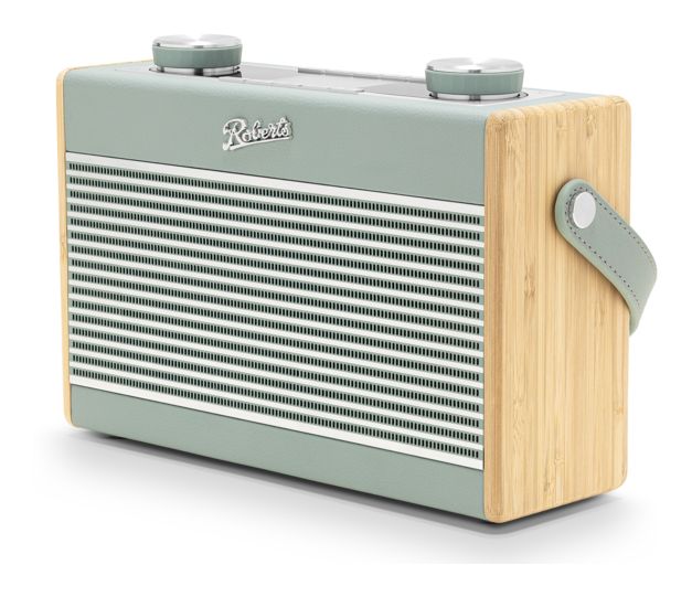 Rambler Max Bluetooth DAB, DAB+, FM Radio Tragbar  (Grün) 