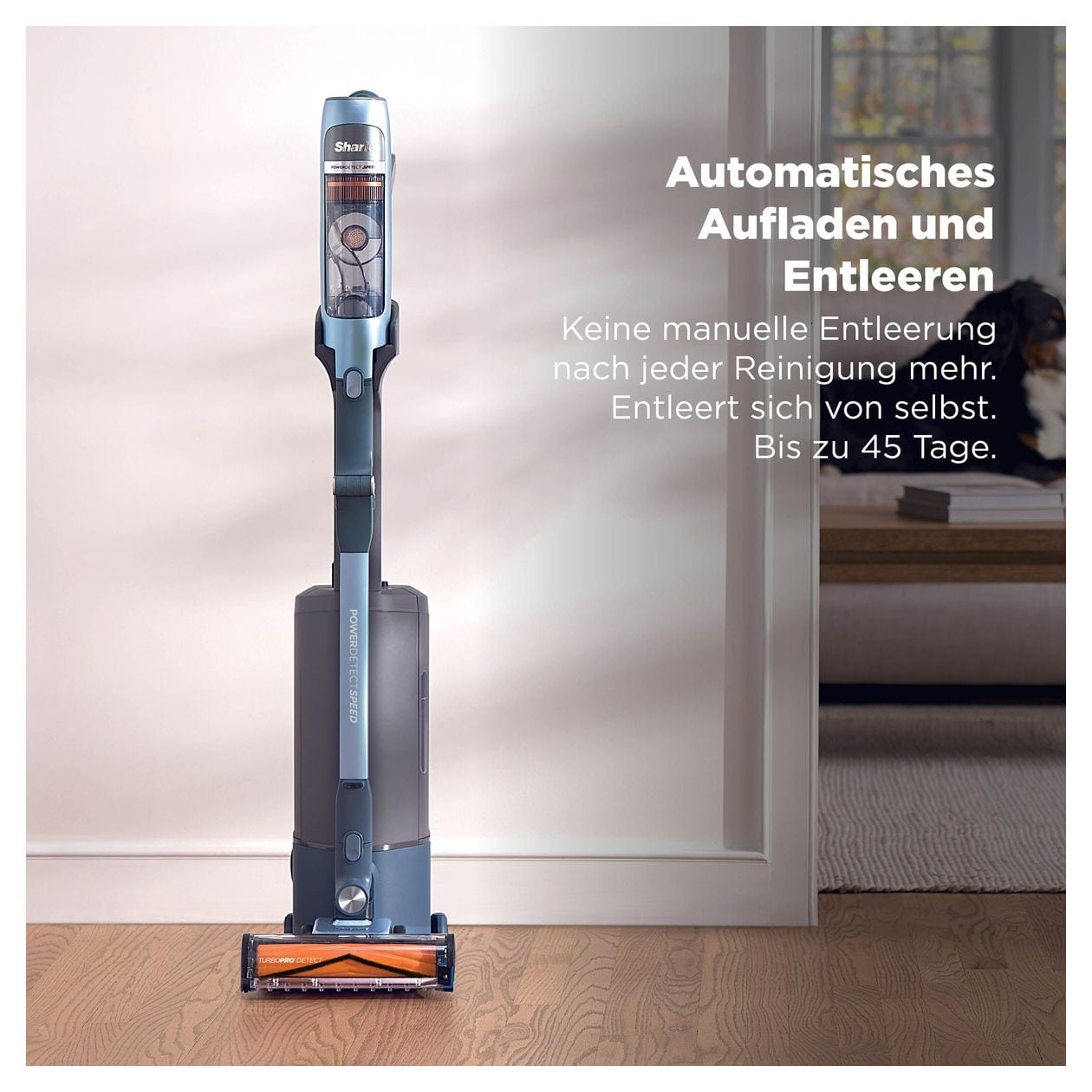 IA3244EUT Handstaubsauger Beutellos bis 60 min Laufzeit HEPA, Schaum  (Blau) 